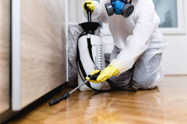 Best Pest Removal Services  in Lorenzo, TX