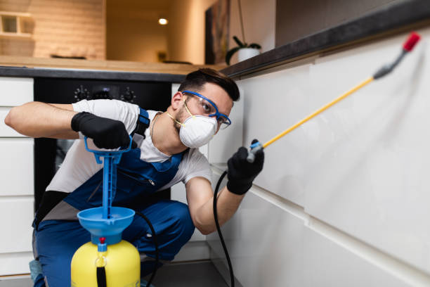 Best Bed Bug Extermination  in Lorenzo, TX
