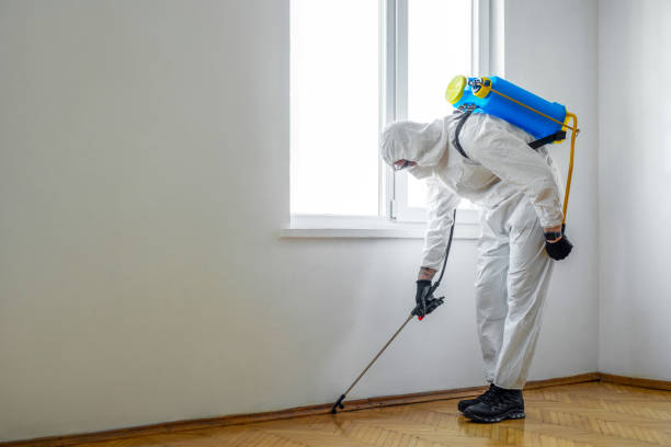 Best Best Pest Control Companies  in Lorenzo, TX