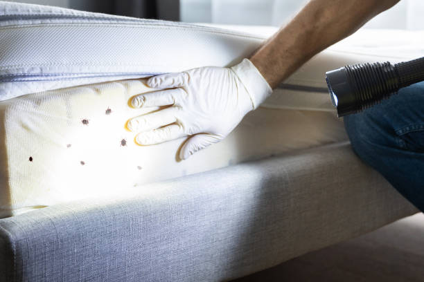 Best Exterminator Services  in Lorenzo, TX