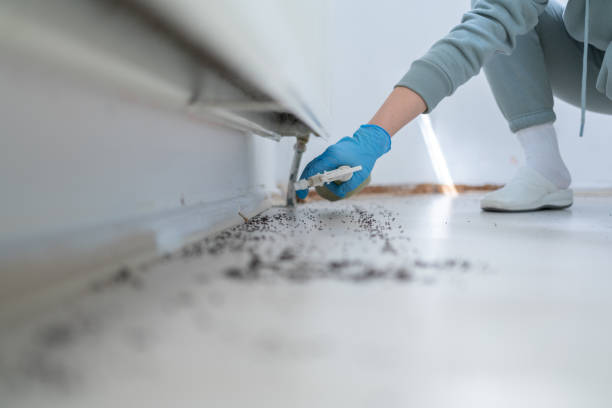 Best Commercial Pest Control Services  in Lorenzo, TX